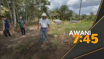 Maut dipijak gajah ketika menoreh getah