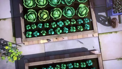 Larva  - Speed & Competitive spirit