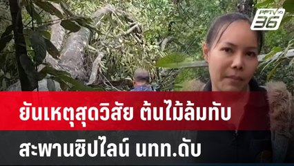ยันเหตุสุดวิสัย ต้นไม้ล้มทับสะพานซิปไลน์ นทท.ดับ | เที่ยงทันข่าว | 2 ส.ค. 67