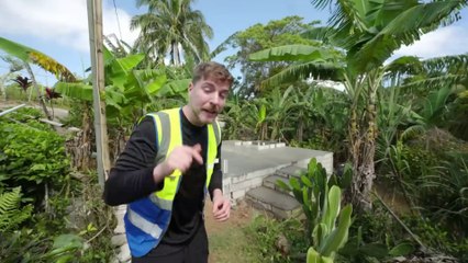 MrBeast Build House