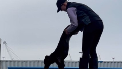 Woman uses 'Canine First Aid' to save her choking dog's life