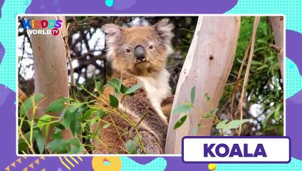 How to Write Letters for Children - Teaching Writing ABC for Preschool - Alp_High