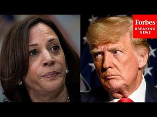 What The Trump Campaign Needs To Do Against Vice President Kamala Harris: Mark Penn Explains
