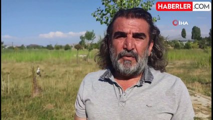 Van Gölü Havzasının Flamingoları Erçek Gölü'ne Geldi