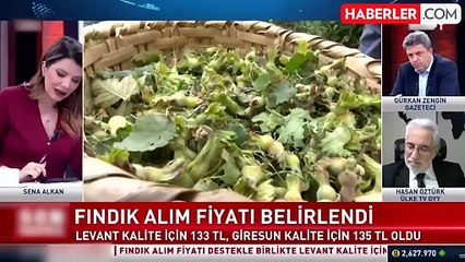 19 Ağustos'ta başlıyor! Fındık alım fiyatları belli oldu
