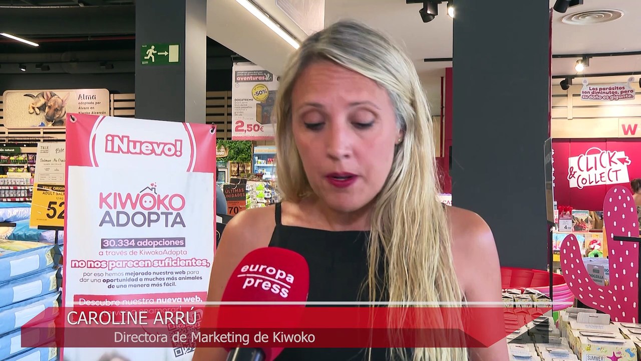 Hoteles caninos: una alternativa para las mascotas en las vacaciones de verano