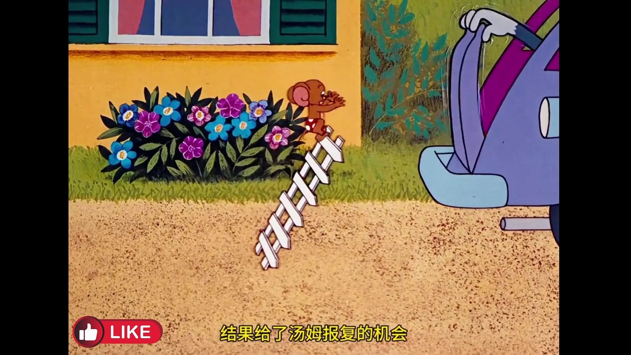 TOM AND JERRY. ENDLESS FIGHT