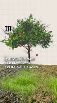 Pourquoi la faim dans le monde ne recule plus ?