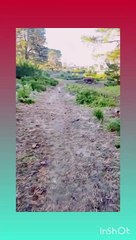 Allah is the real creator 