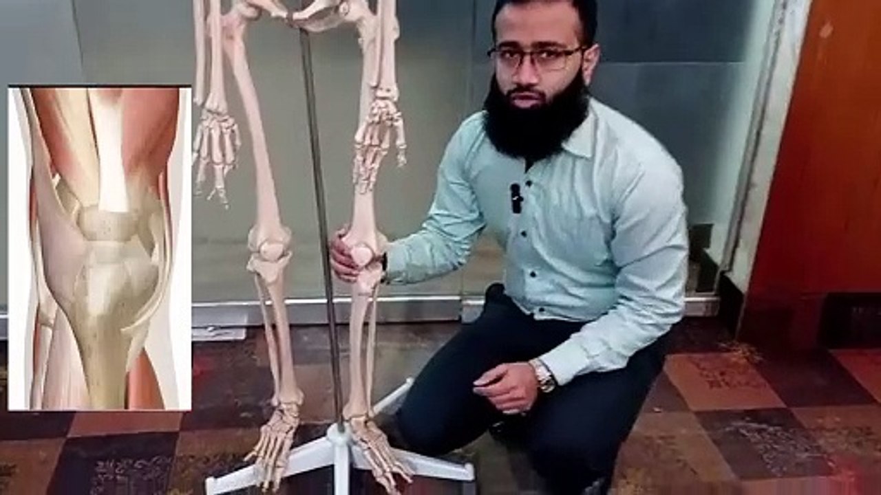 Why Knee POPs During Movement- Is Knee Clicking Dangerous - گھٹنوں سے  آنے والی آواز کی وجوبات