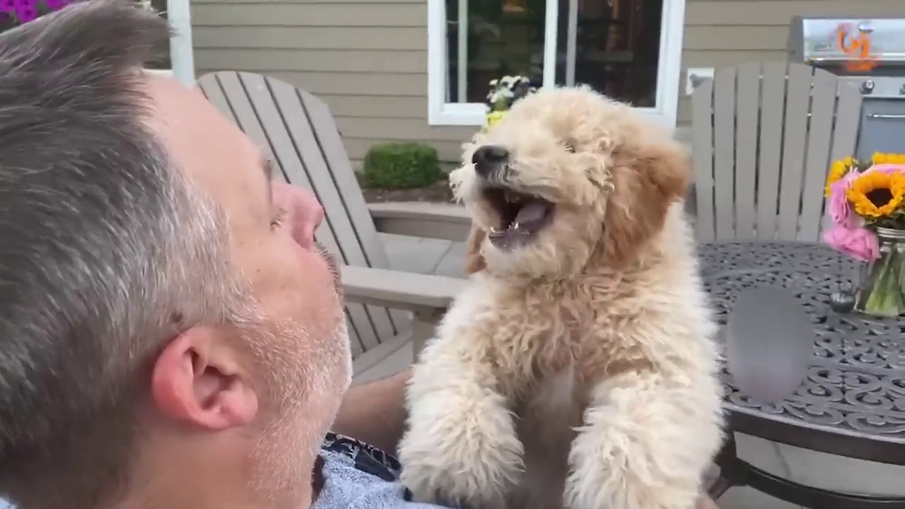 Funny video