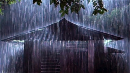 Goodbye Insomnia with Heavy Rain ️& Thunder Growls on Stale Tin Roof in Foggy Murky Forest at Night