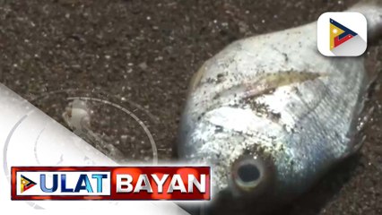Rekomendasyong isailalim sa State of Calamity ang Bataan dahil sa oil spill, hindi pa naaaprubahan