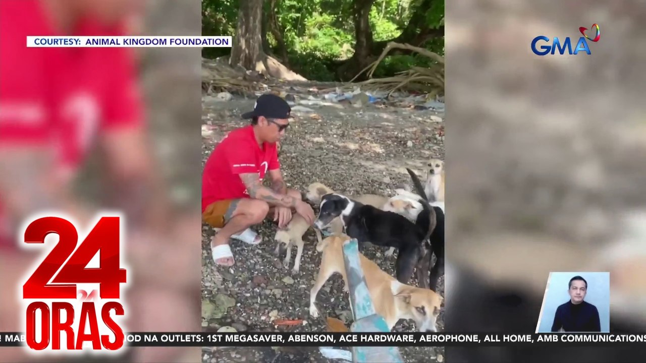 Nasa 20 aso, nailigtas sa Dao Dao Island; ginawang tapunan ng mga inabandonang alaga - brgy. capt. | 24 Oras