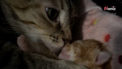 Une bénévole est appelée par une association : un échange de regards va faire basculer sa journée