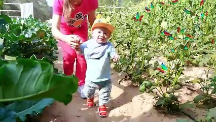 Oliver and Adam Help Mom gather Ingredients for the Pie