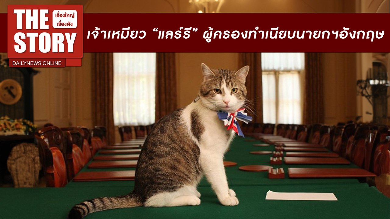 ทำความรู้จักเจ้าเหมียว “แลร์รี” ผู้ครองทำเนียบอังกฤษตัวจริง | THE STORY เรื่องใหญ่เรื่องดัง 04/08/67