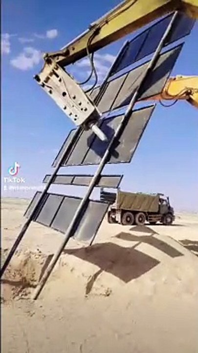 saudi wale