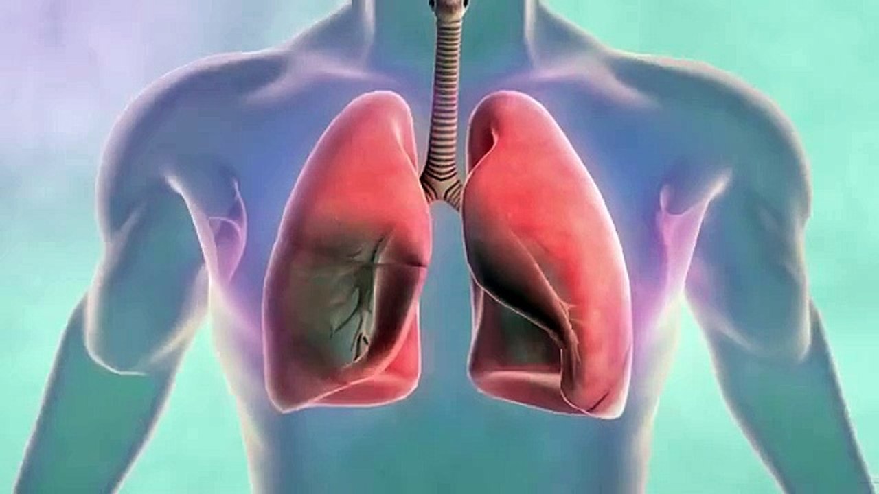 Symptoms of lung cancer