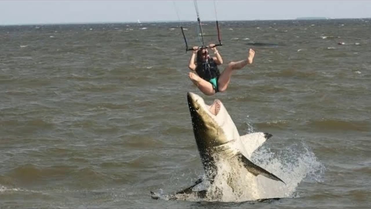 Compilation of Funny Moments of the Year