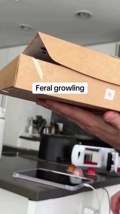 Never a dull moment #princethebird #birdsofinstagram #funnyanimals #funnypets #petstagram