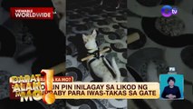 Aso na mahilig tumakas, kinabitan ng rolling pin | Dapat Alam Mo!