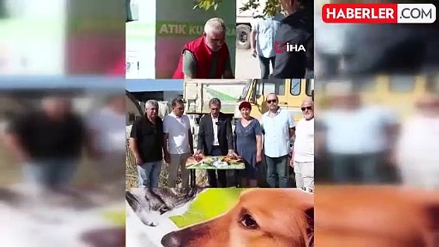 Gemlik Belediyesi'nde sokak hayvanları için seferberlik