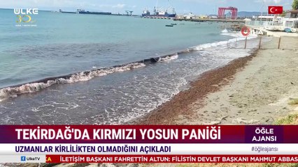 Öğle Ajansı – 1 Ağustos 2024