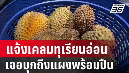 สาวแจ้งเคลมทุเรียนอ่อน กลับเจอบุกมาที่แผงพร้อมปืน | เข้มข่าวค่ำ | 2 ส.ค. 67