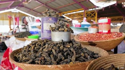 Take a culinary tour of Namibia's capital — with a twist