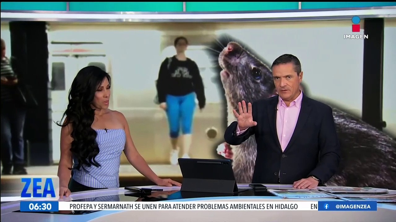 Invasión de roedores, uno de los principales problemas de salud en Nueva York