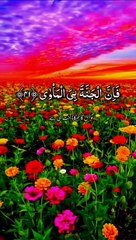 Surah An-Naziat سورہ نازیات Tilawatul_Quran beautiful voice translation Urdu