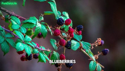 Top 10 Healthy Food for Lungs