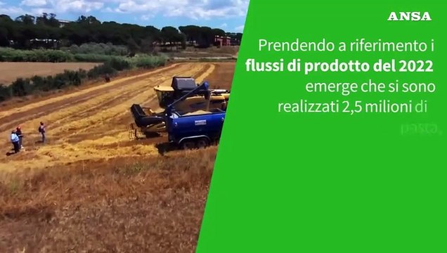 Ansa VERIFIED - E' vero che il grano italiano basta a soddisfare l'approvvigionamento nazionale di pasta?