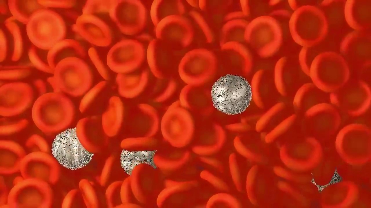 This Common Kitchen Vegetable is Known as the Remedy for Excess Sugar & Cholesterol - Dr. Mandell