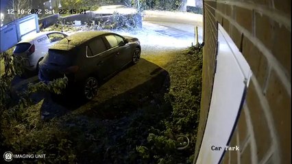 Drunk driver speeds moments before killing pub landlady
