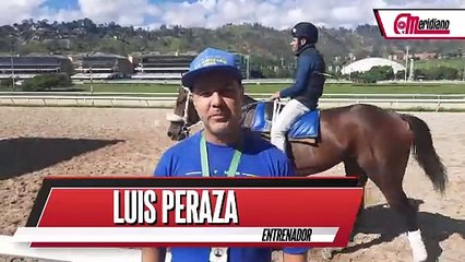 HIPISMO: Luis Peraza - Entrenador