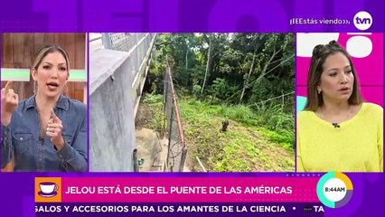 Jelou! desde el puente Las Américas