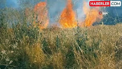 Edirne'de kaynak makinasından çıkan kıvılcım 2 dekar buğdayı yaktı