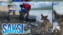 Saksi: (Part 3) Mga sinagip na aso; Dambuhalang sombrero ; ITZY in PH