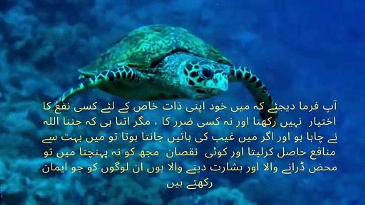 Hadith-5