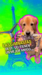 Download Video: El mejor amigo de las gimnastas de EE. UU.