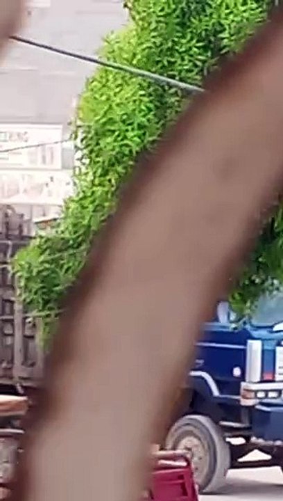 VID_20240721_164635