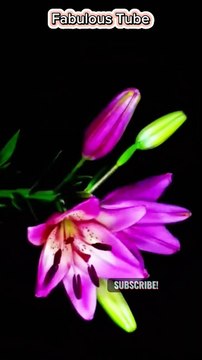 Motivational Story in English | short stories #shortstories #shorts #lifelesson #mindset #wisdom