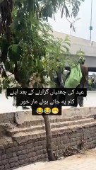 When Life Gets Hilariously Out of Control