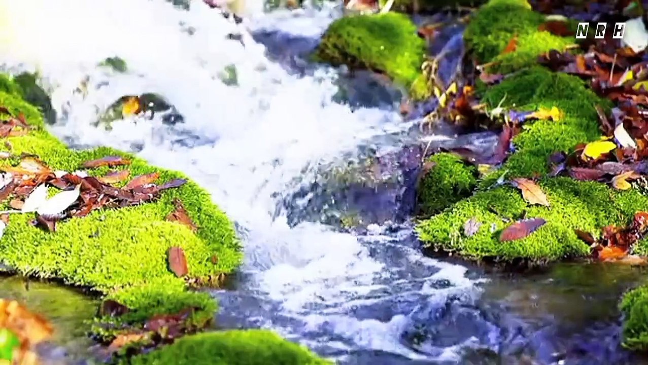 Relaxation film with natural fountain and sweet water sound