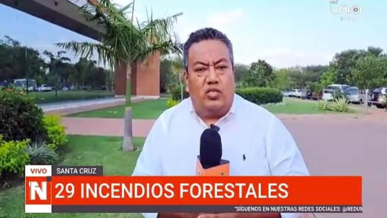 Medio millon de ha consumidas