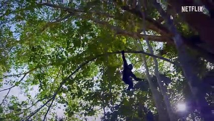 Discover the Hidden World of Sound with David Attenborough 🎙️ | Official Netflix Trailer