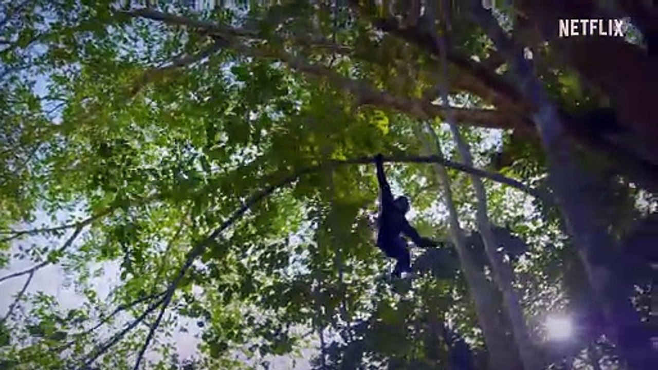 Secret World of Sound with David Attenborough - Official Trailer Netflix