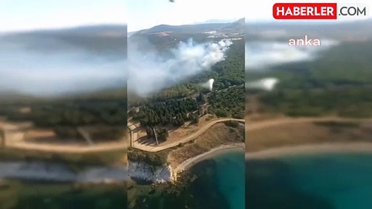 İzmir Aliağa'da TÜPRAŞ Ormanı'nda Yangın Çıktı